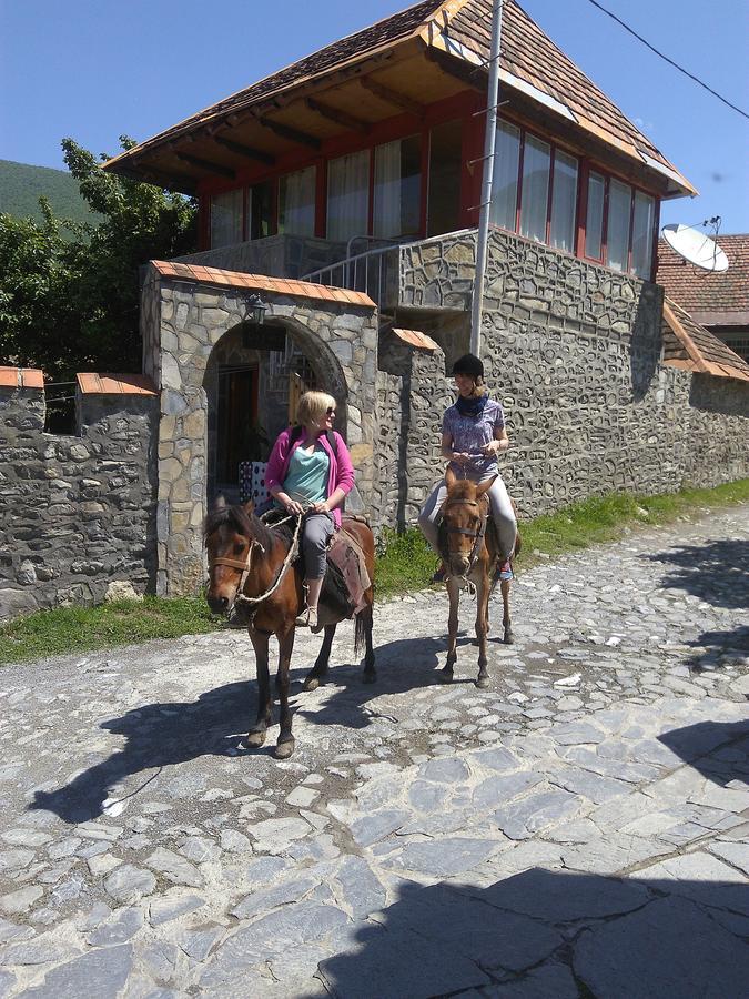Ilham Mustafa Houses Şǝki Eksteriør billede